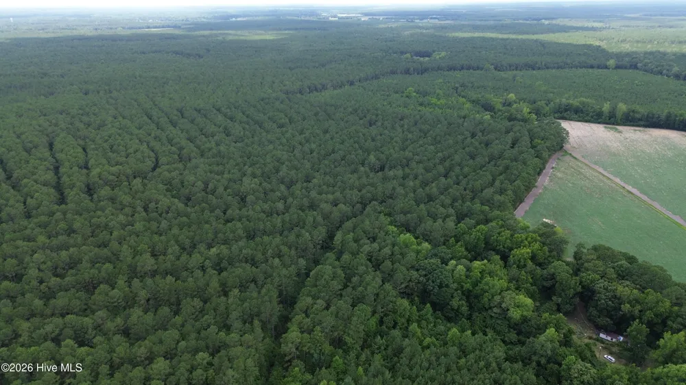 Tbd Point Caswell Road Atkinson, NC 28421