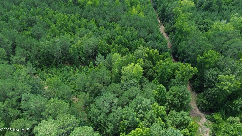 Tbd Point Caswell Road Atkinson, NC 28421