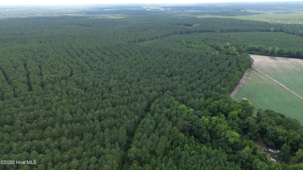Tbd Point Caswell Road Atkinson, NC 28421