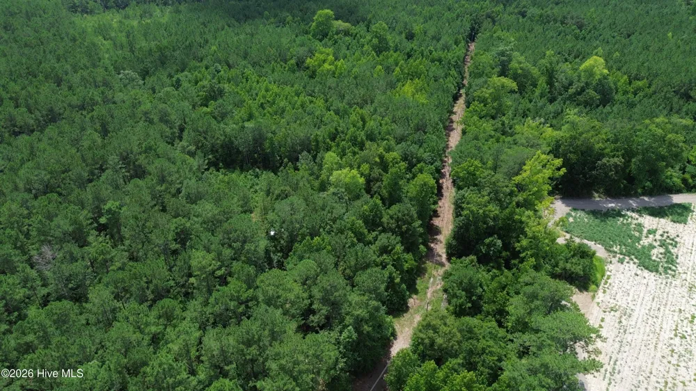 Tbd Point Caswell Road Atkinson, NC 28421