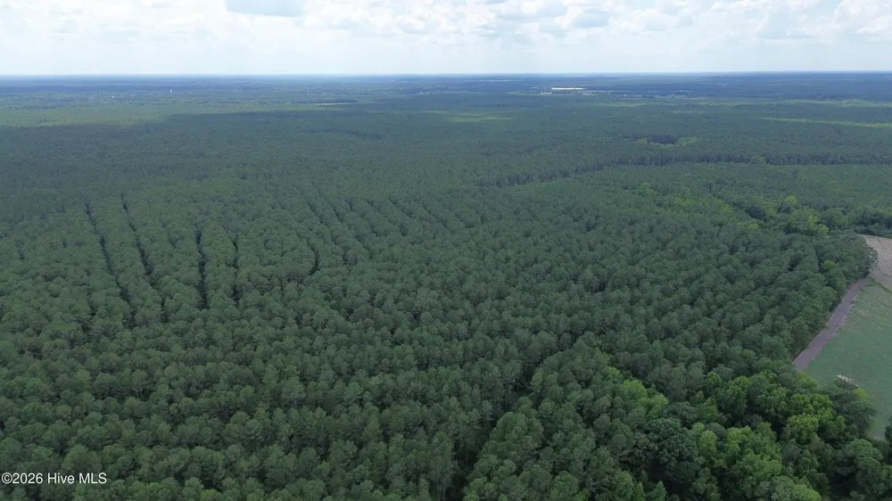 Tbd Point Caswell Road Atkinson, NC 28421