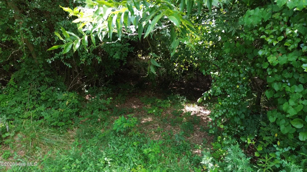 Tbd Point Caswell Road Atkinson, NC 28421