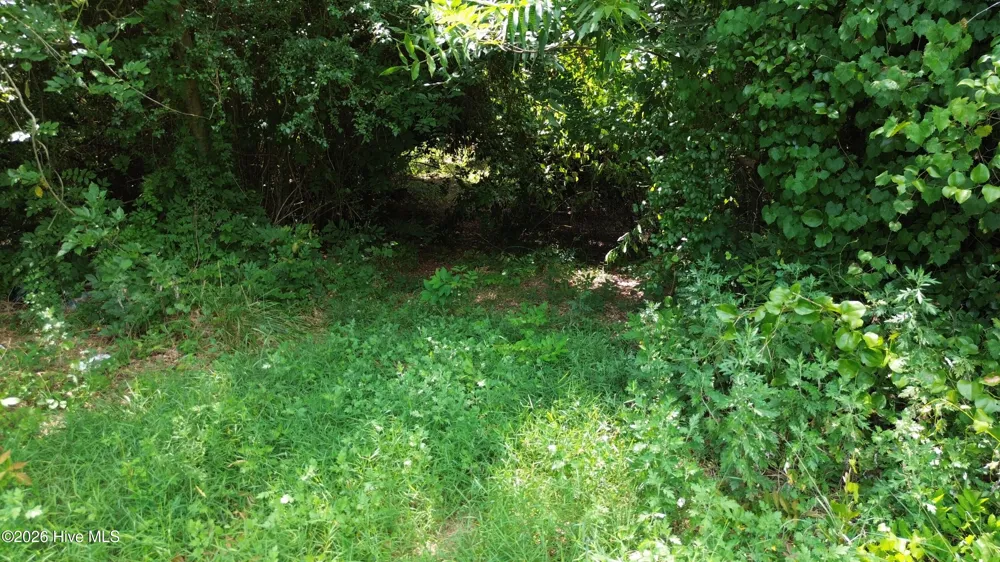 Tbd Point Caswell Road Atkinson, NC 28421