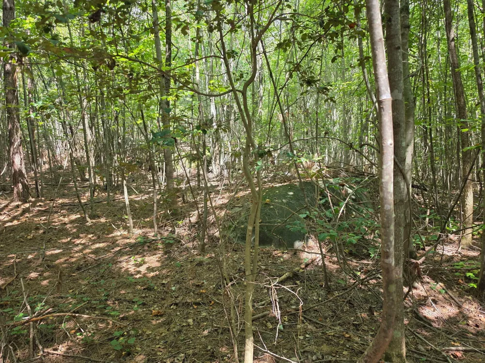 1015 Hotwater Road Soddy Daisy, TN 37379
