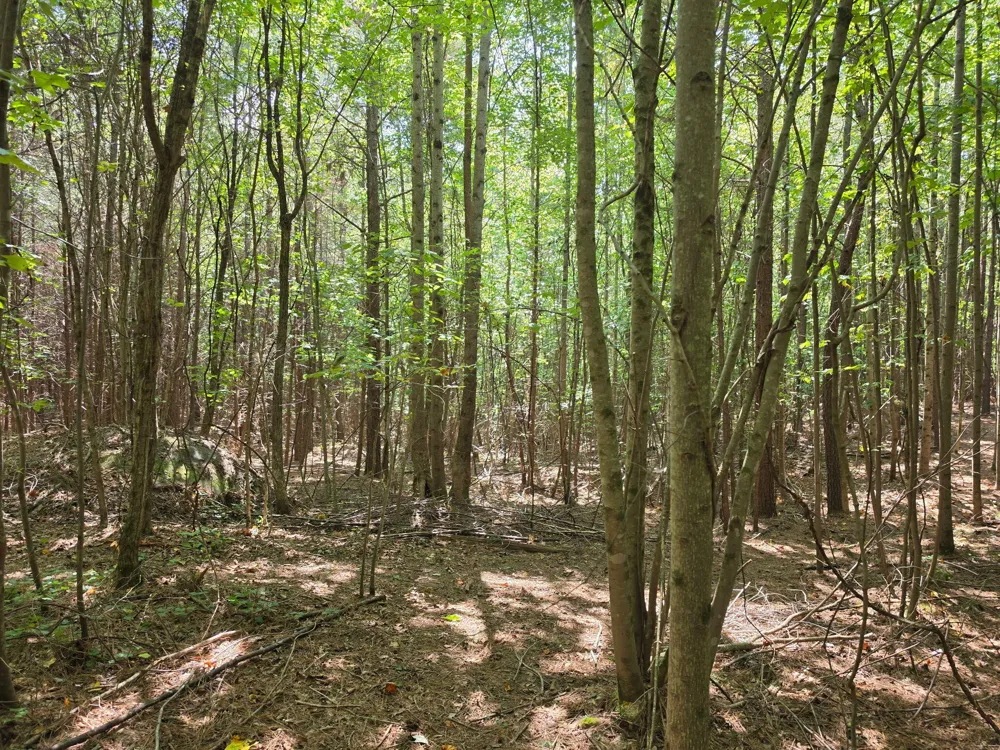 1015 Hotwater Road Soddy Daisy, TN 37379
