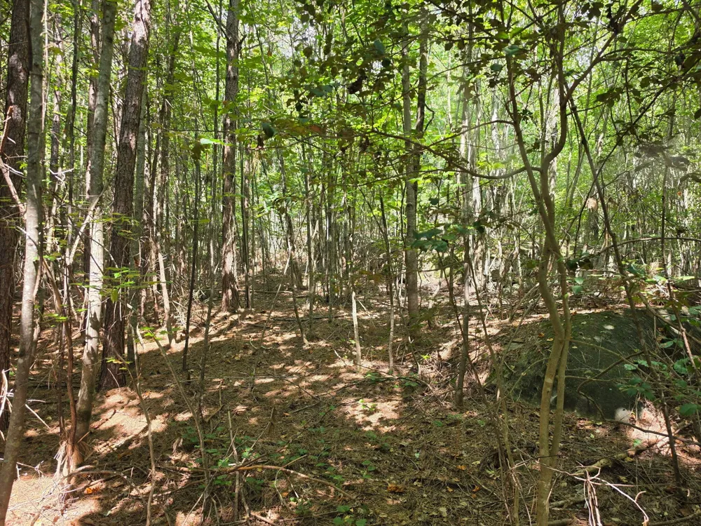 1015 Hotwater Road Soddy Daisy, TN 37379
