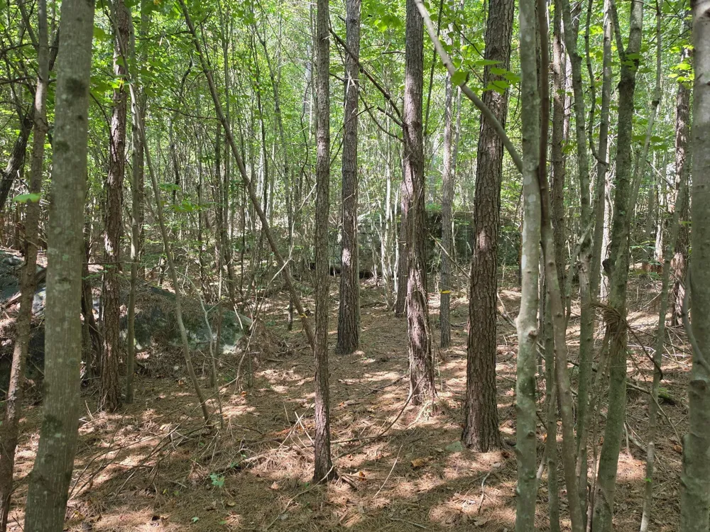 1015 Hotwater Road Soddy Daisy, TN 37379