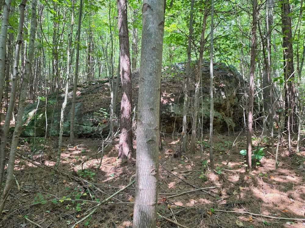 1015 Hotwater Road Soddy Daisy, TN 37379
