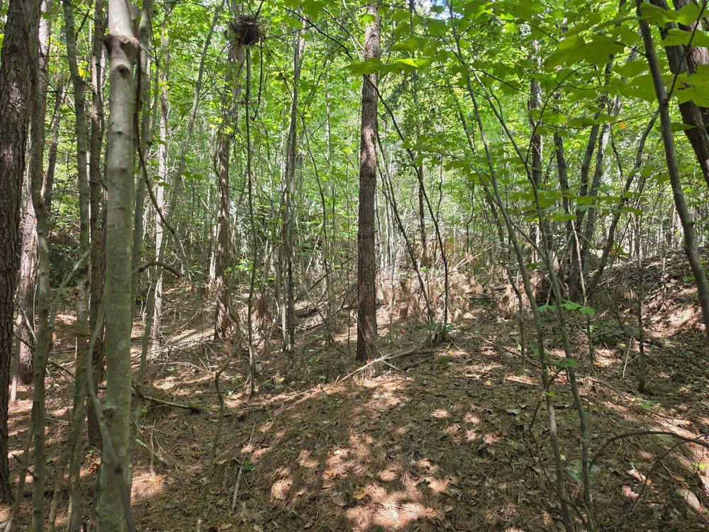 1015 Hotwater Road Soddy Daisy, TN 37379