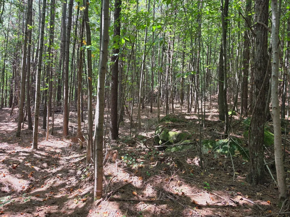 1015 Hotwater Road Soddy Daisy, TN 37379