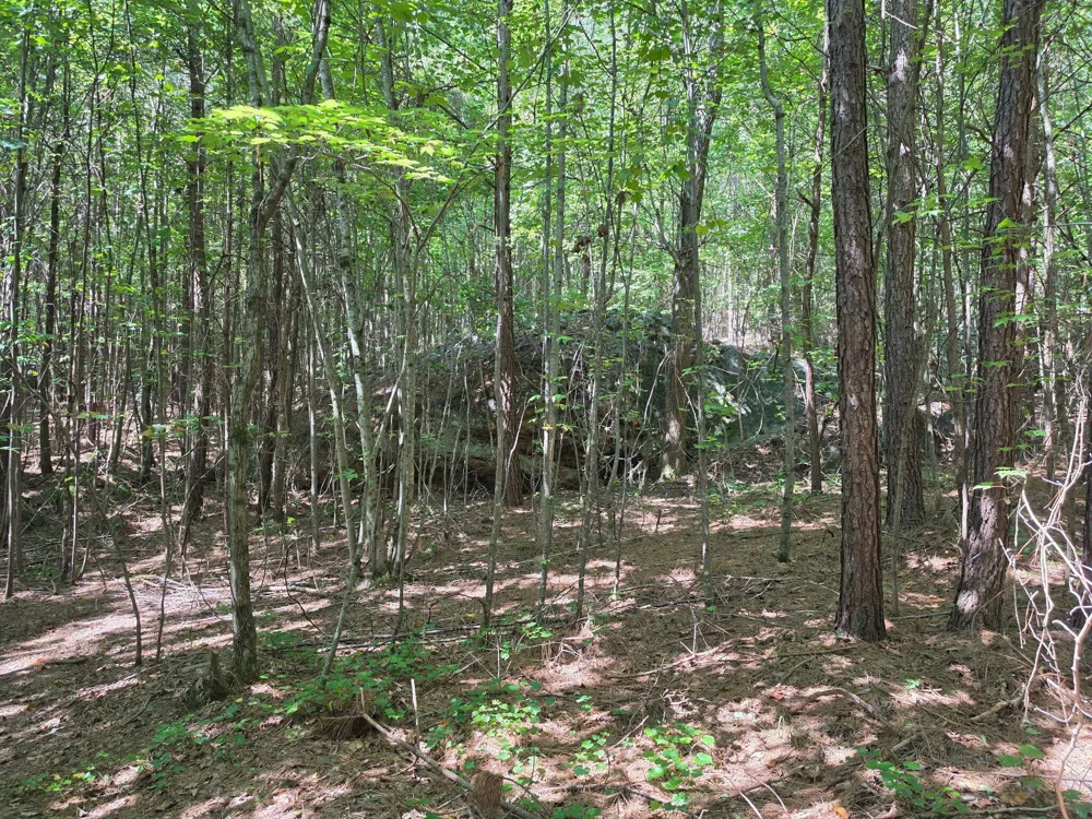1015 Hotwater Road Soddy Daisy, TN 37379