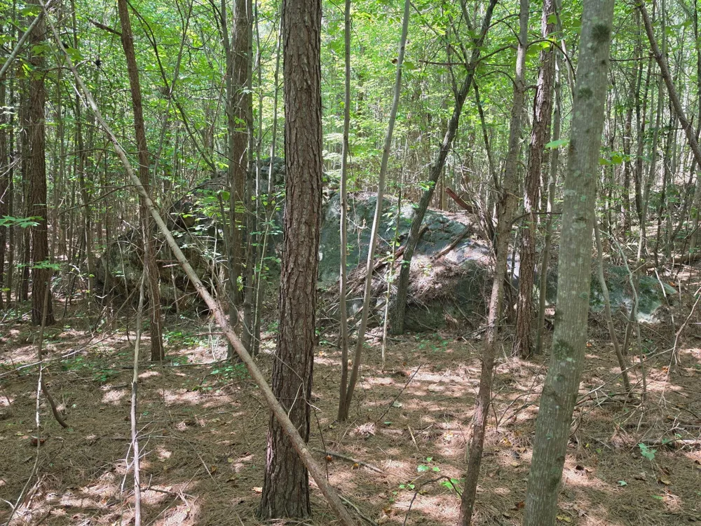 1015 Hotwater Road Soddy Daisy, TN 37379
