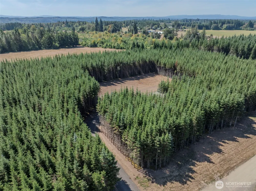 263 Twinflower Lane Onalaska, WA 98570