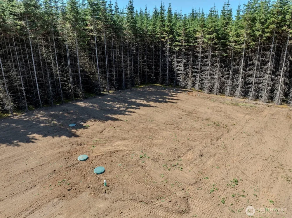 263 Twinflower Lane Onalaska, WA 98570