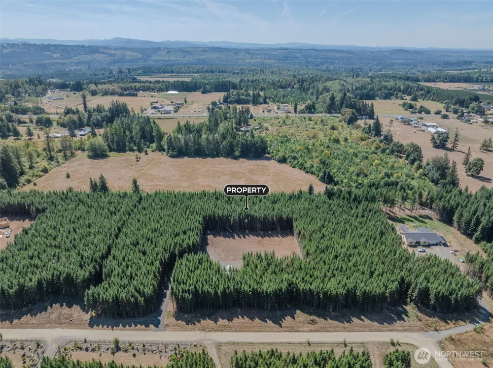 263 Twinflower Lane Onalaska, WA 98570