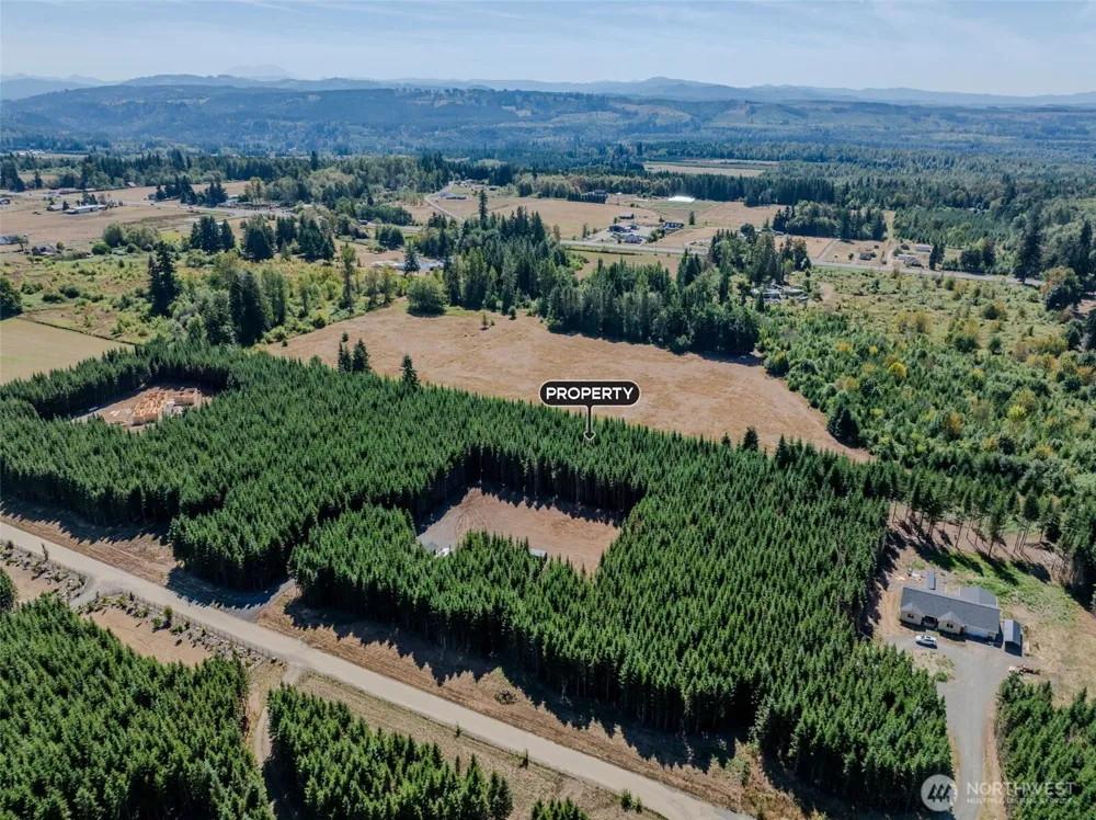 263 Twinflower Lane Onalaska, WA 98570