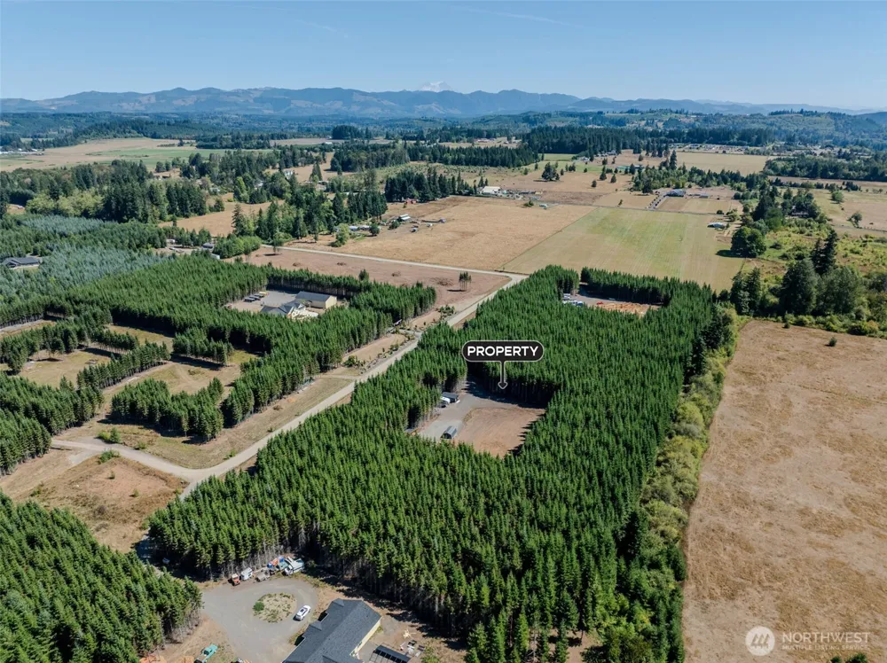 263 Twinflower Lane Onalaska, WA 98570
