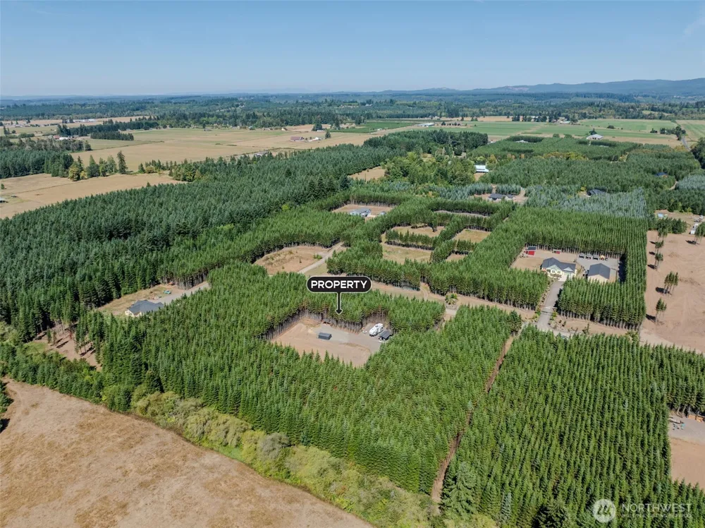 263 Twinflower Lane Onalaska, WA 98570