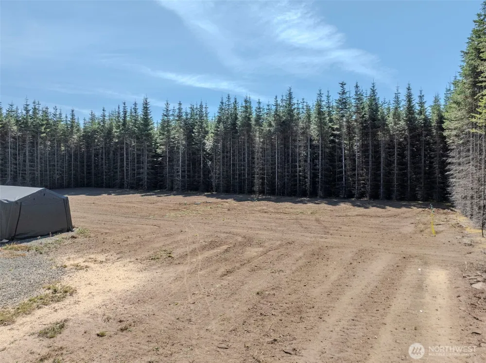 263 Twinflower Lane Onalaska, WA 98570