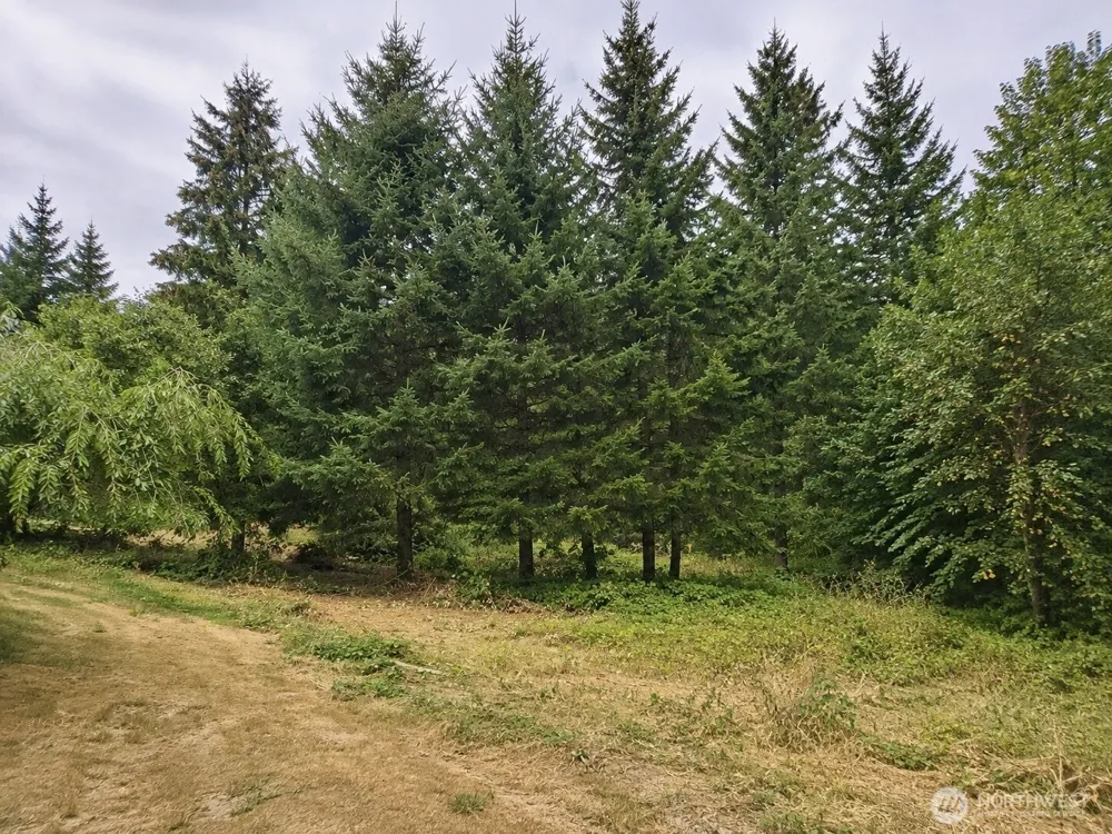 5240 W Werner Road Bremerton, WA 98312