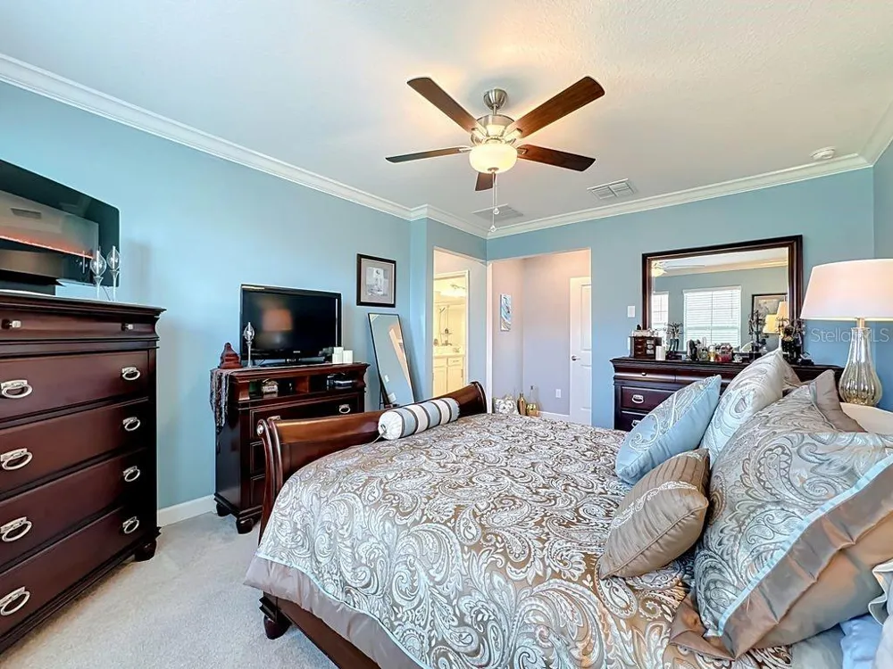 17255 HOLLY WELL AVENUE Wimauma, FL 33598