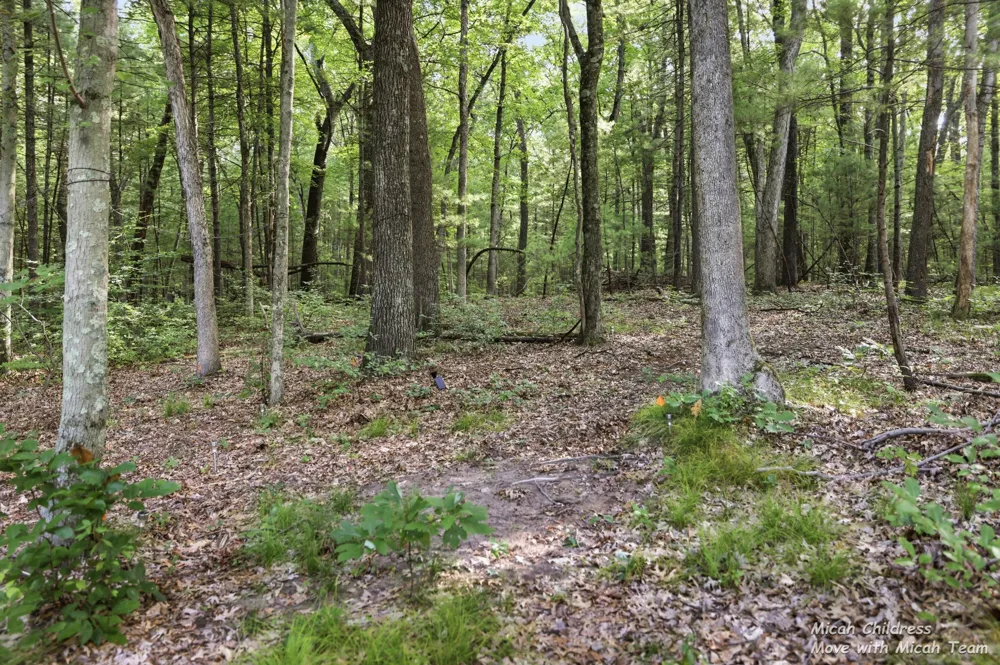 3813 Ryan Woods Circle Allegan, MI 49010