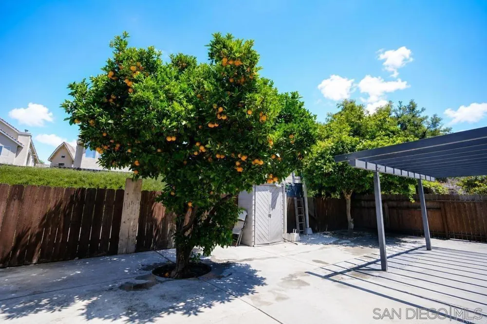4658 Calle Del Palo Oceanside, CA 92057