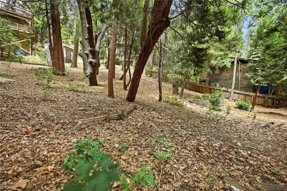 779 Virginia Court Lake Arrowhead, CA 92352