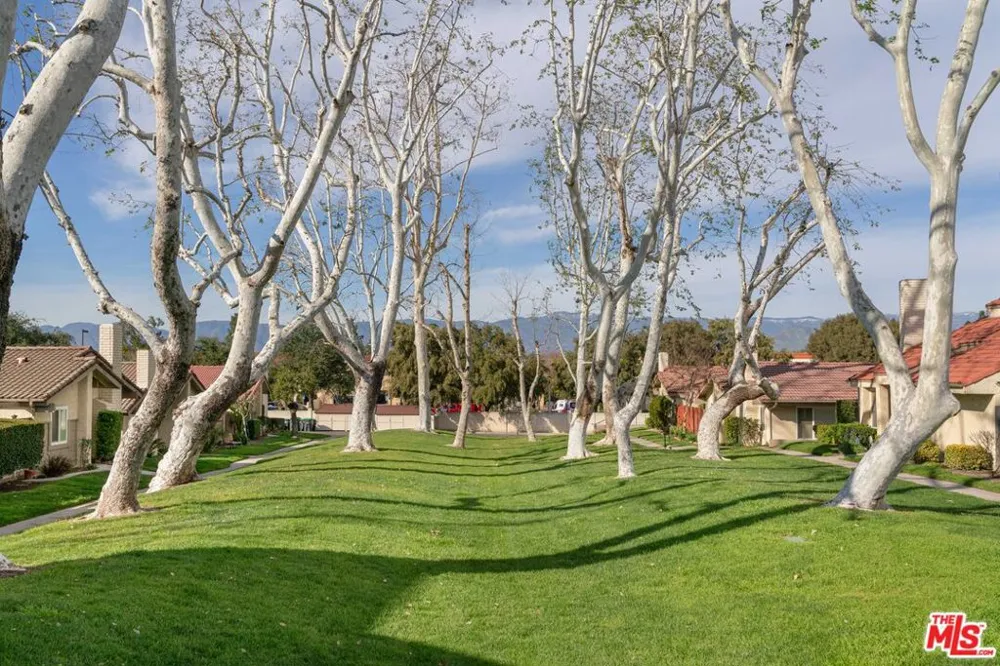 25358 Lawton Avenue Loma Linda, CA 92354