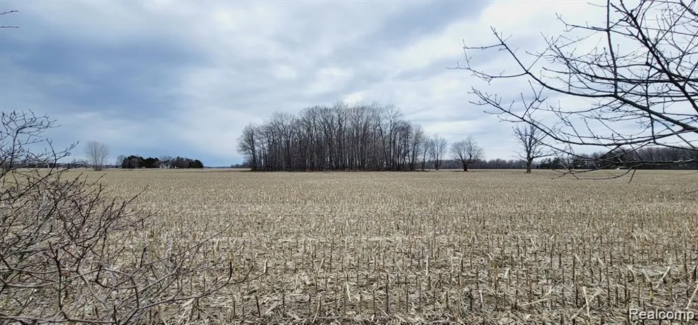 2611 Miller Road Berlin Township, MI 48002