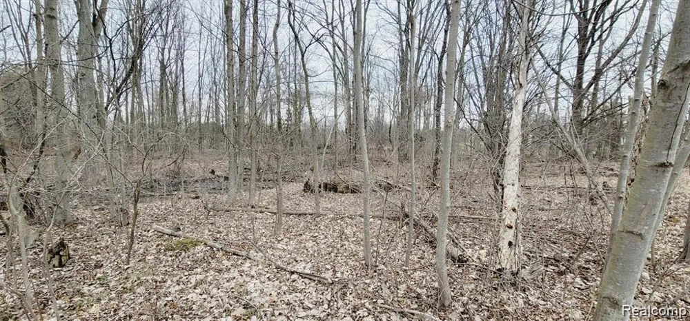 2611 Miller Road Berlin Township, MI 48002