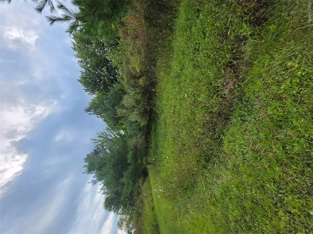 2611 Miller Road Berlin Township, MI 48002