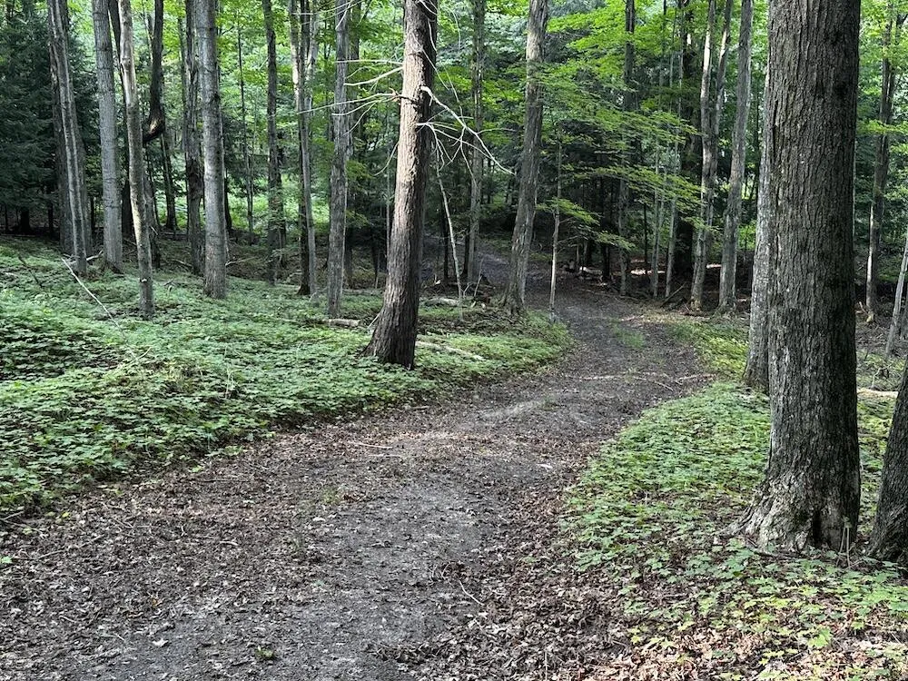 8530 Toad Lake Road Banks Township, MI 49729