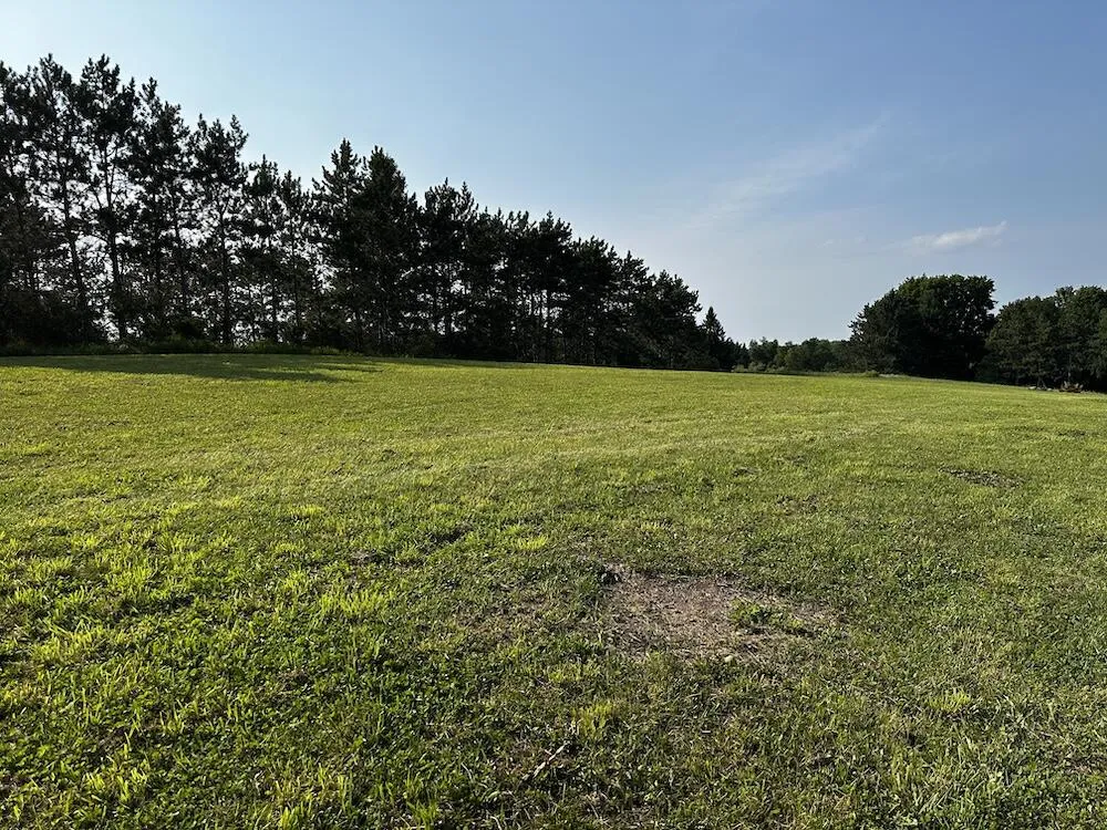 8530 Toad Lake Road Banks Township, MI 49729