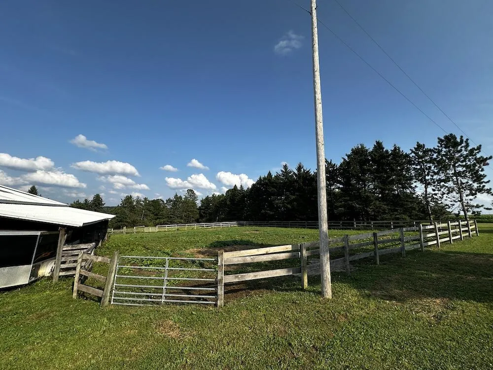 8530 Toad Lake Road Banks Township, MI 49729