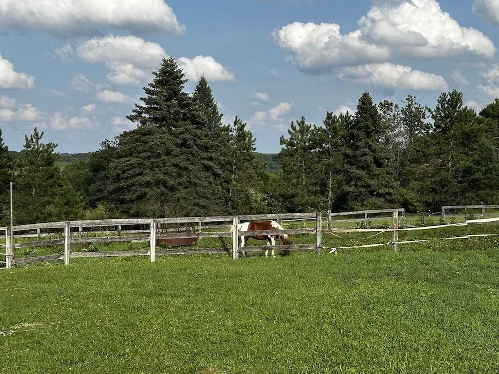 8530 Toad Lake Road Banks Township, MI 49729