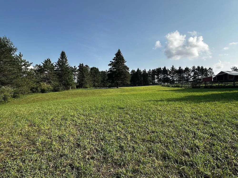8530 Toad Lake Road Banks Township, MI 49729