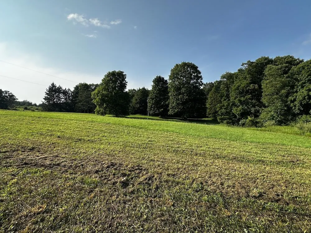 8530 Toad Lake Road Banks Township, MI 49729