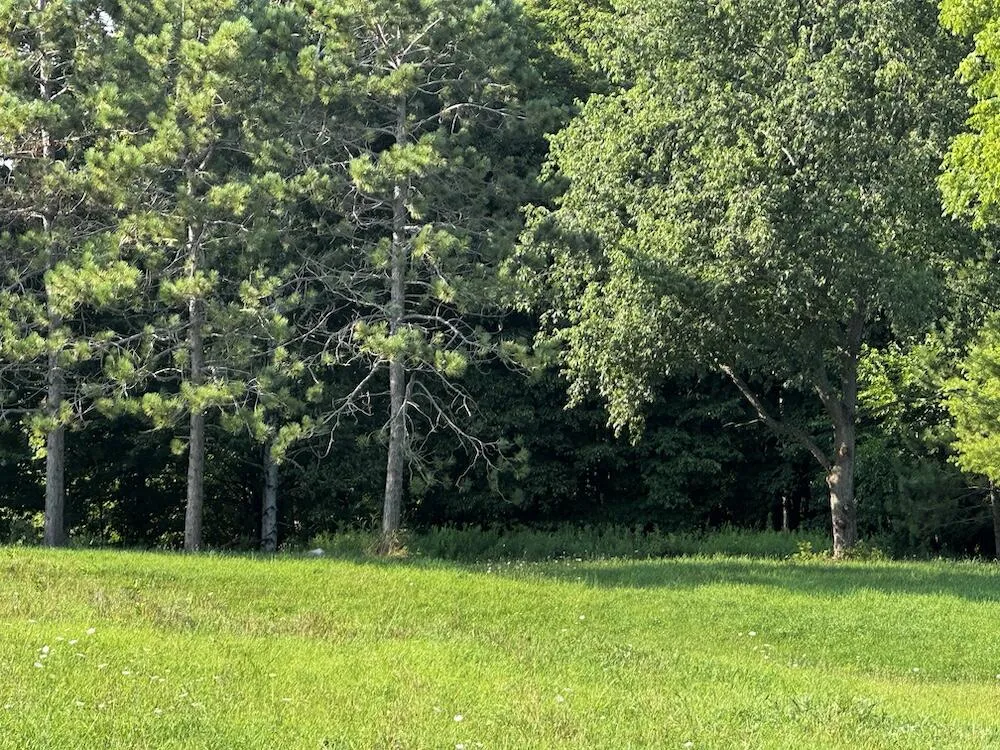8530 Toad Lake Road Banks Township, MI 49729