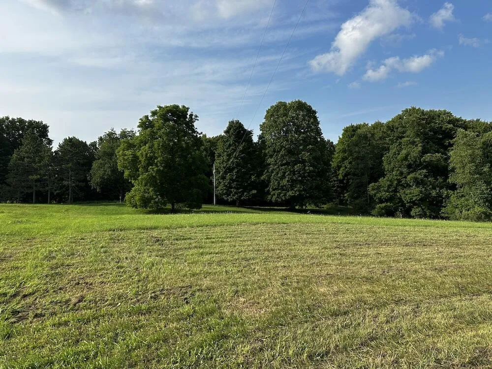 8530 Toad Lake Road Banks Township, MI 49729