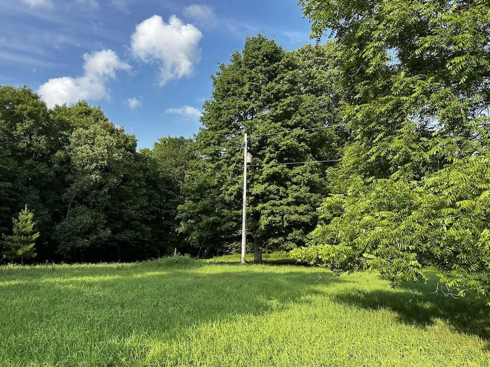 8530 Toad Lake Road Banks Township, MI 49729