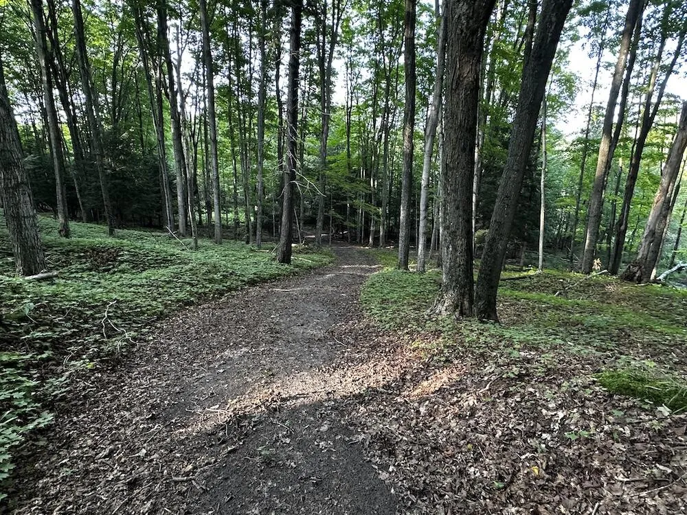 8530 Toad Lake Road Banks Township, MI 49729