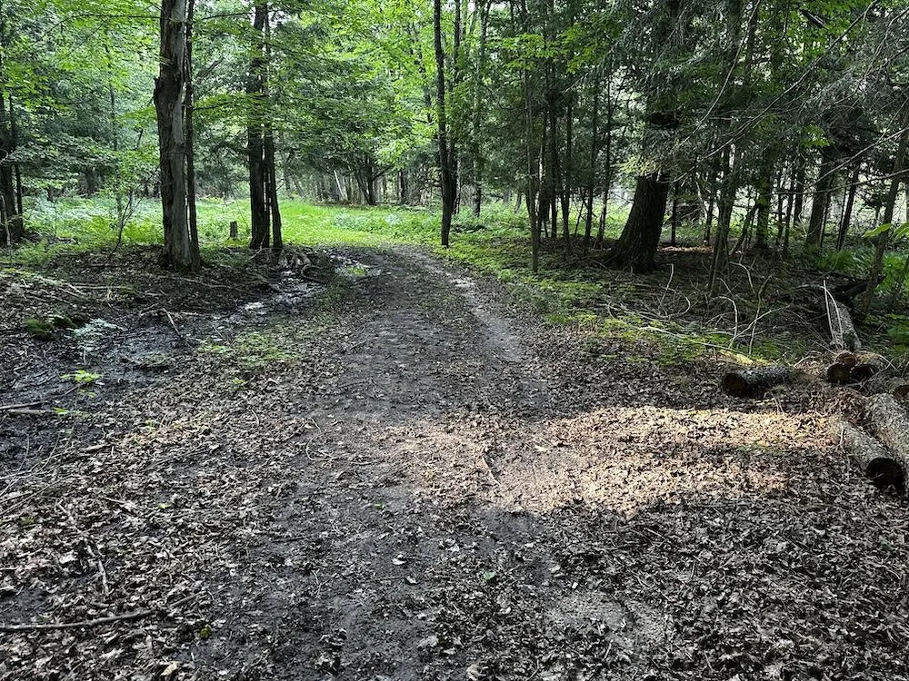 8530 Toad Lake Road Banks Township, MI 49729