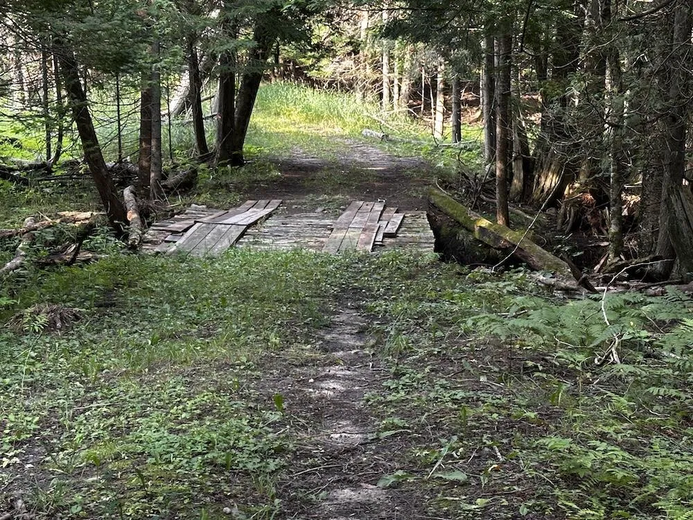 8530 Toad Lake Road Banks Township, MI 49729