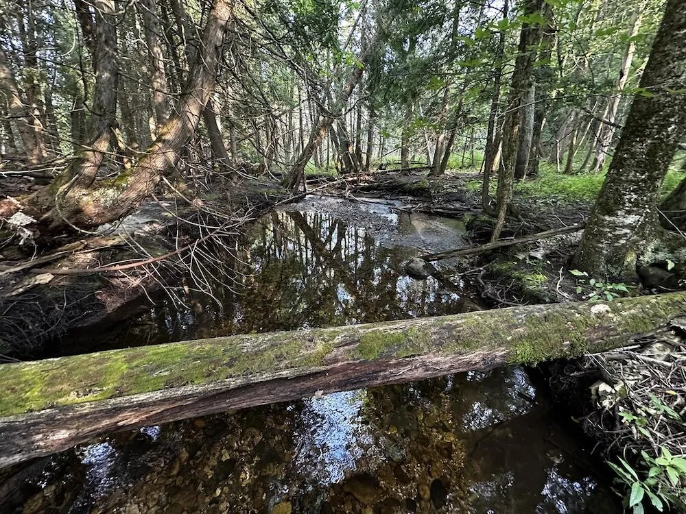 8530 Toad Lake Road Banks Township, MI 49729