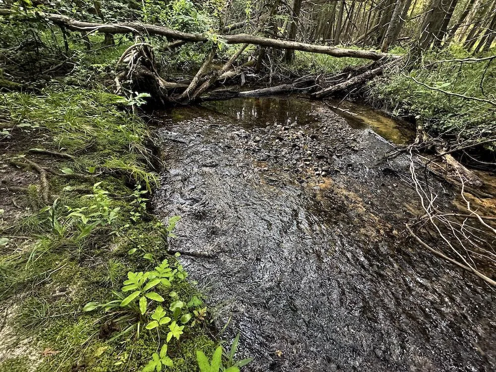 8530 Toad Lake Road Banks Township, MI 49729