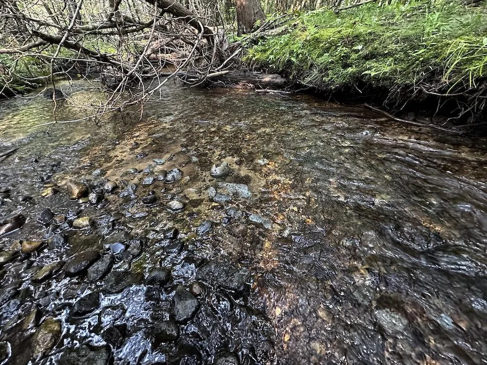 8530 Toad Lake Road Banks Township, MI 49729