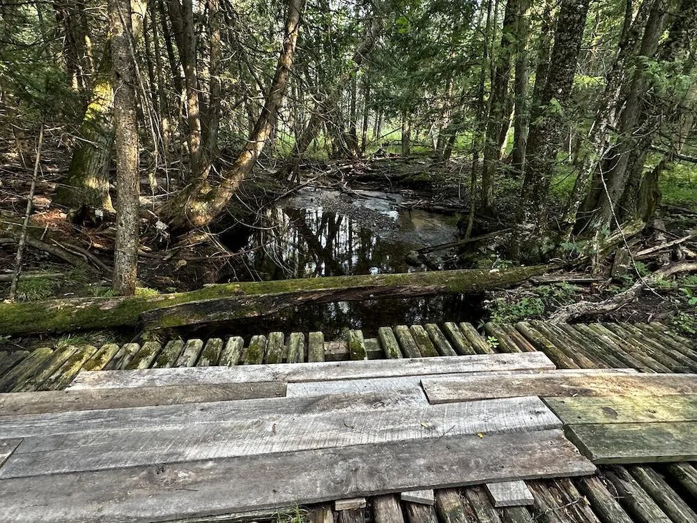 8530 Toad Lake Road Banks Township, MI 49729