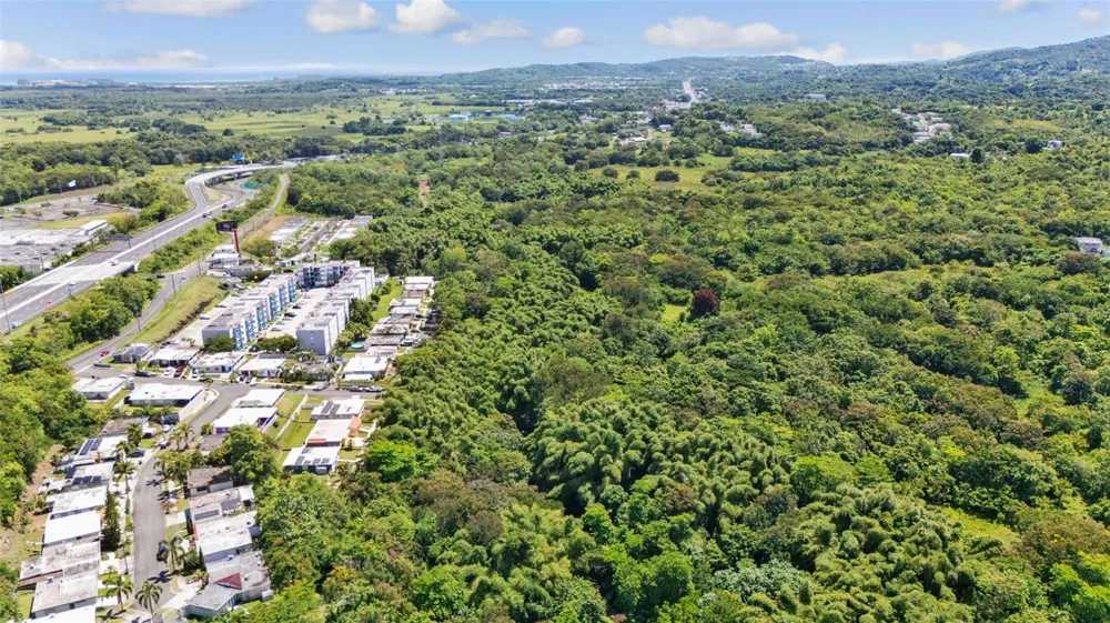 956 BO GUZMAN ABAJO - SECTOR GALATEO Rio Grande, PR 00745