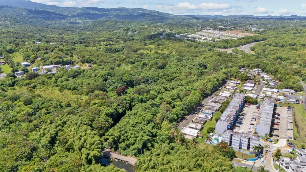 956 BO GUZMAN ABAJO - SECTOR GALATEO Rio Grande, PR 00745